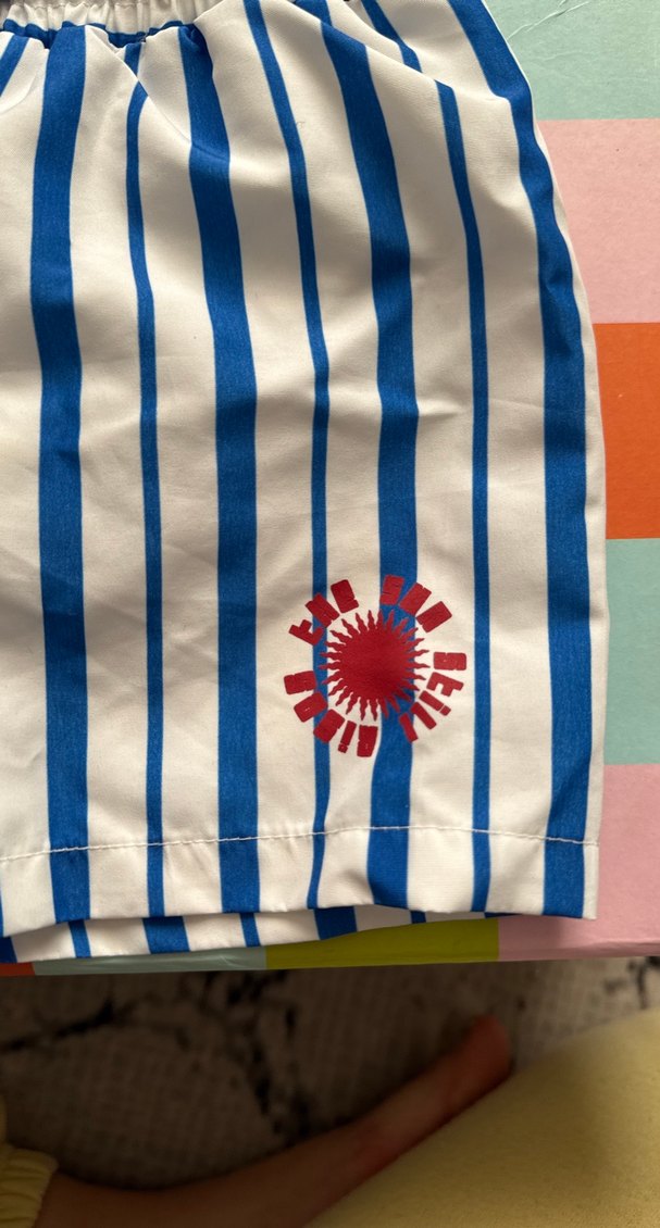 Erkek Çocuk Mavi Çizgili Deniz Şortu - Görsel 3