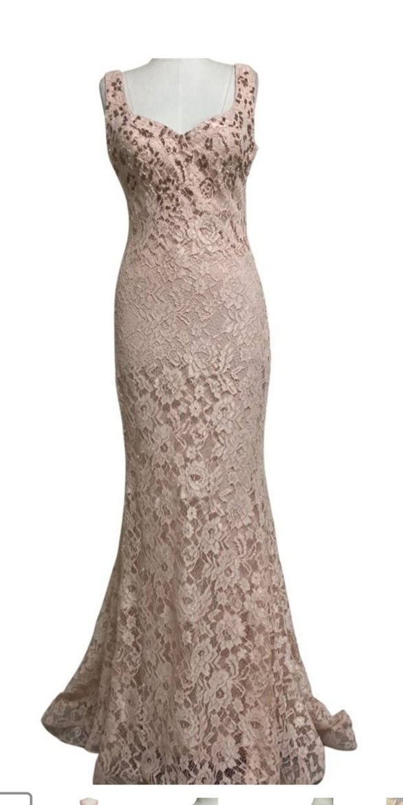 Bej Dantelli Uzun Abiye Elbise - Görsel 3
