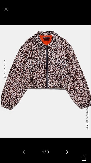Zara mont