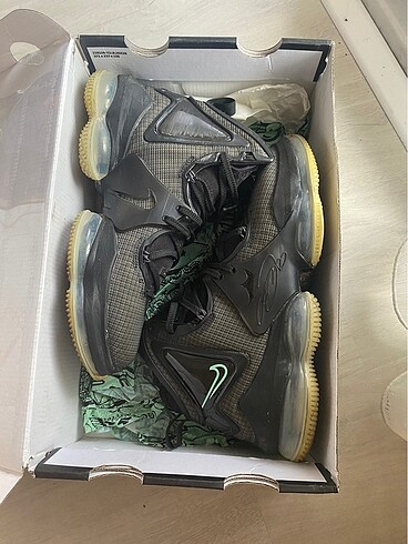 42 Beden siyah Renk Nike Lebron 19 ayakkabı