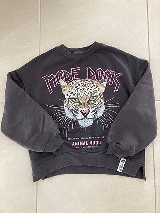 Zara Kids Sweatshirt