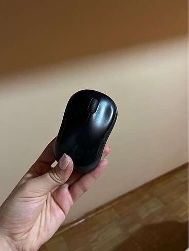 Mouse