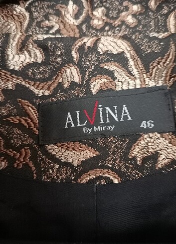 Alvina Alvina 
