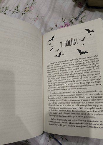 Yaralasar - Maral Atmaca - Görsel 5