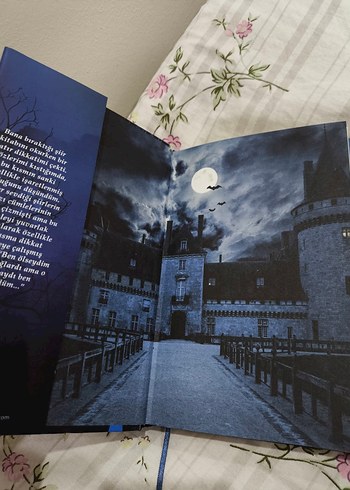 Yaralasar - Maral Atmaca - Görsel 3