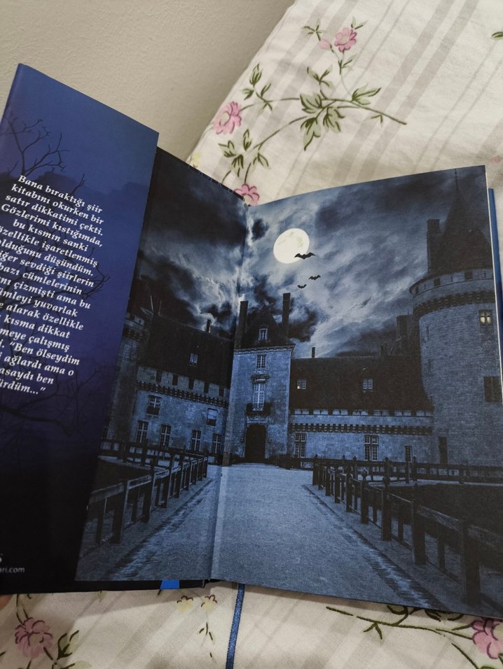 Yaralasar - Maral Atmaca - Görsel 3