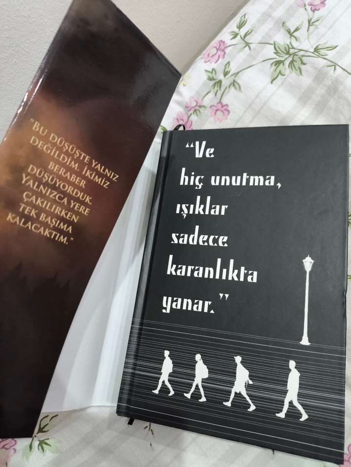 Karantina 3 - Beyza Alkoç - Görsel 4