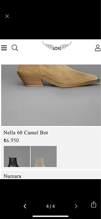 39 Beden camel Renk LOİE bot
