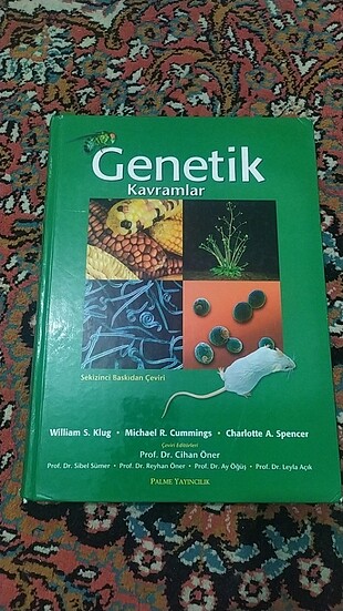 genetik kavramlar