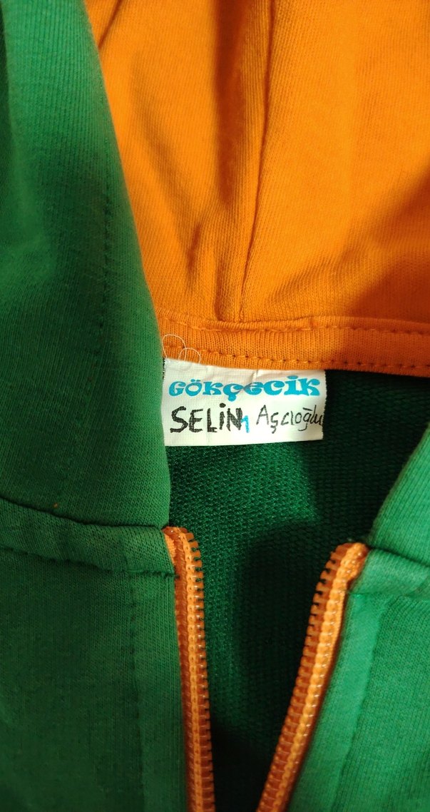 Kapüşonlu Yeşil Fermuarlı Erkek Çocuk Sweatshirt - Görsel 2