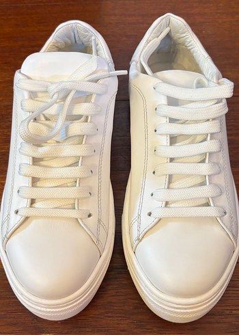 Pelinin Ayakkabıları 37