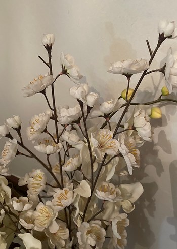 Uzun Beyaz Vazo beyaz çiçekli - Görsel 2