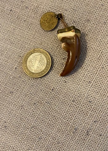 Yengeç dişi kolye ucu - Görsel 5