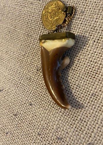 Yengeç dişi kolye ucu - Görsel 4