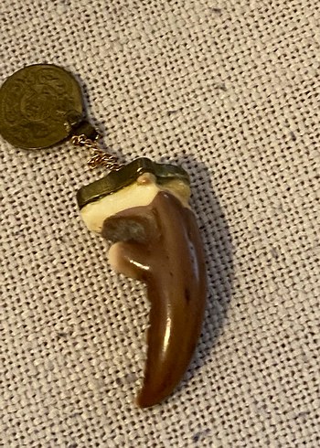 Yengeç dişi kolye ucu - Görsel 3