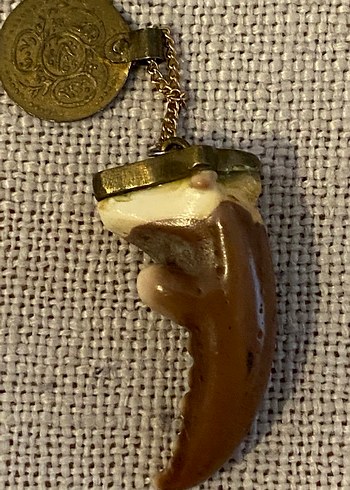 Yengeç dişi kolye ucu - Görsel 2