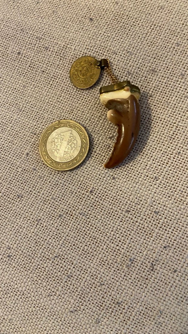 Yengeç dişi kolye ucu - Görsel 5