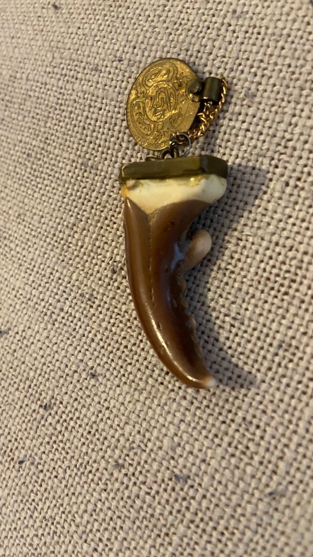 Yengeç dişi kolye ucu - Görsel 4