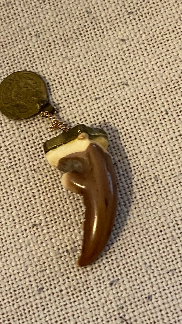 Yengeç dişi kolye ucu - Görsel 3