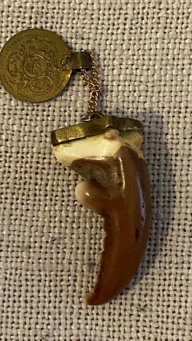 Yengeç dişi kolye ucu - Görsel 2