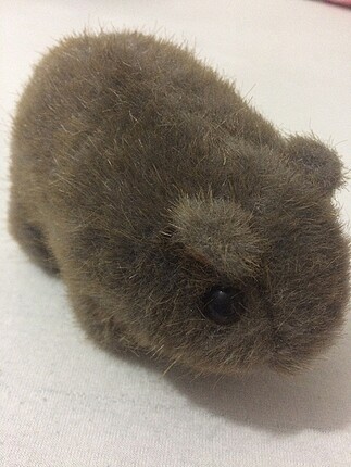 Hamster