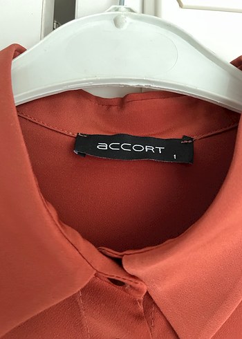 Kadın Kiremit Uzun Kollu Krep Gömlek - Görsel 3