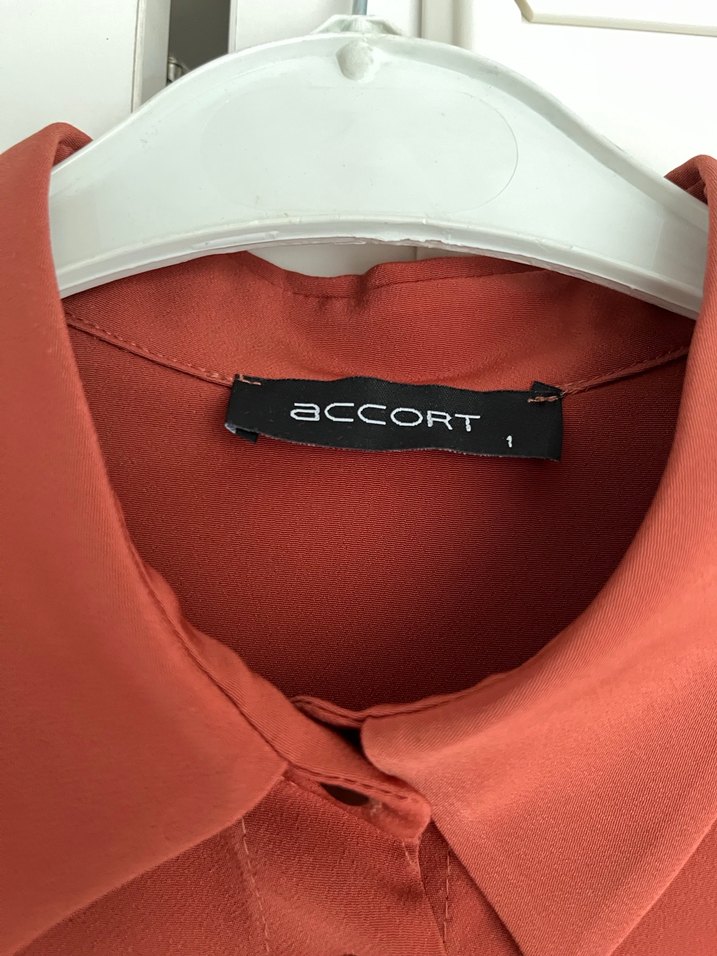 Kadın Kiremit Uzun Kollu Krep Gömlek - Görsel 3