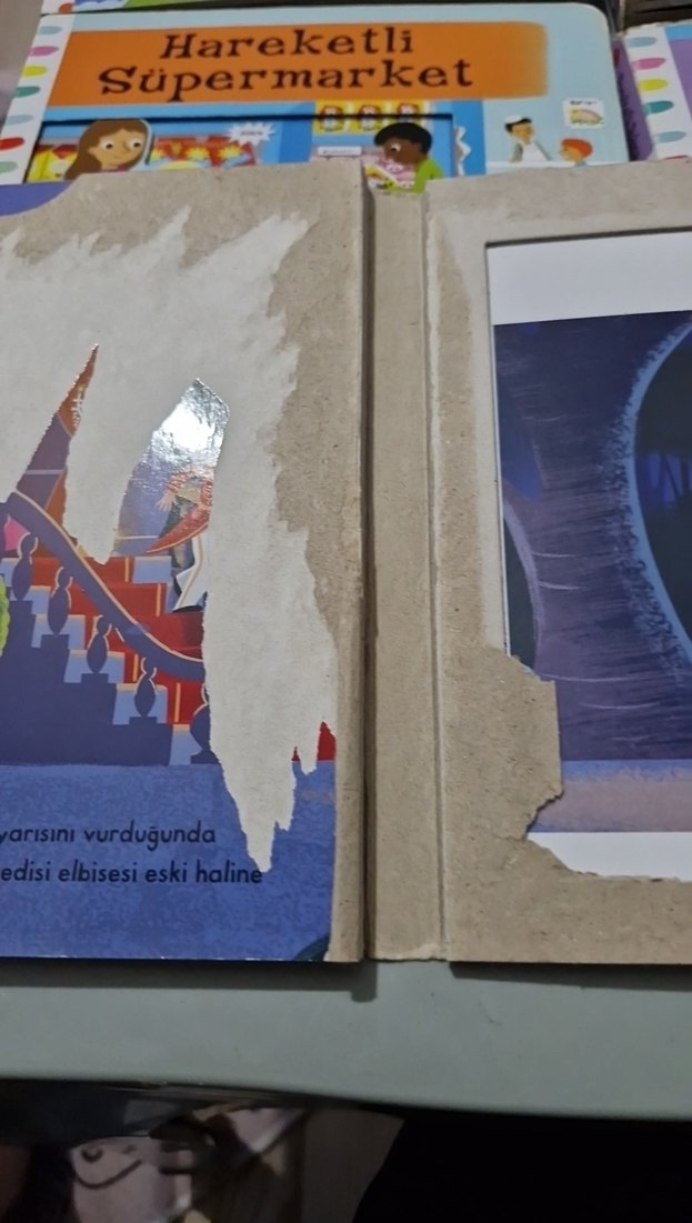 Hareketli Kitaplar Seti: Külkedisi ve Diğerleri - Görsel 3