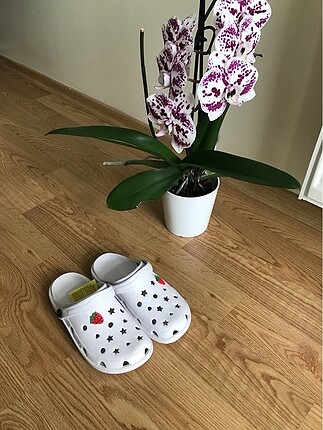 Crocs terlik