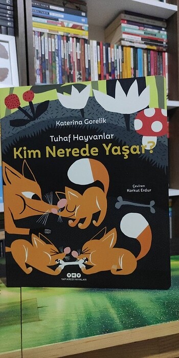 Tuhaf Hayvanlar Kum Nerede Yaşar 