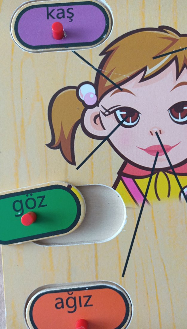 Renkli Yüz Parçaları Eğitim Oyuncağı - Görsel 3