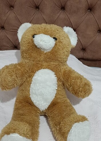 Ayıcık