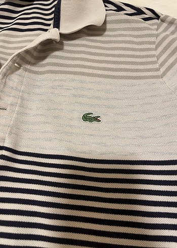 Lacoste tshirt - Görsel 3
