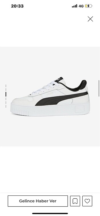 Puma Puma carina