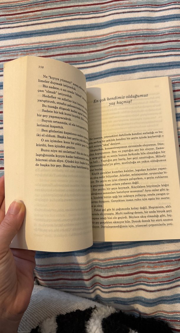 Kelebeğin Hayat Sırları - Nil Karaibrahimgil - Görsel 5