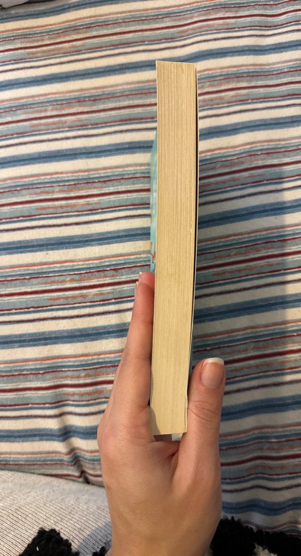 Kelebeğin Hayat Sırları - Nil Karaibrahimgil - Görsel 4