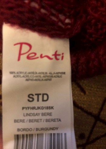 penti Bere - Görsel 3