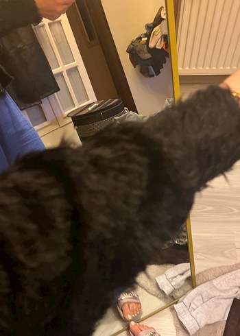 40 Beden Siyah Kürklü Deri Kadın Ceket parlak