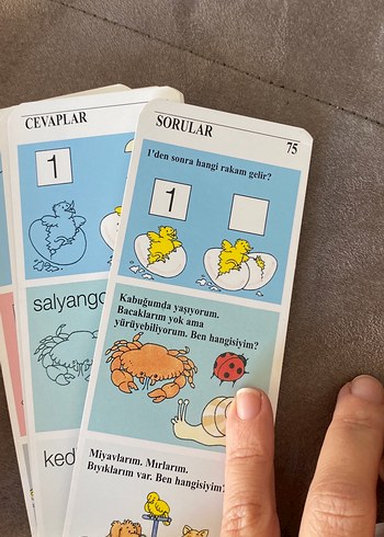  Beden Renk 4-5 Yaş Zeka Geliştirici Eğlen Öğren Kitabı