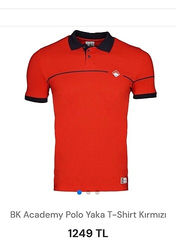 Bahçeşehir koleji polo yaka tişört  - Görsel 2