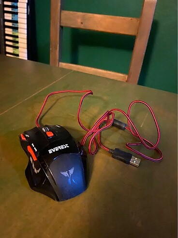 Everest mouse