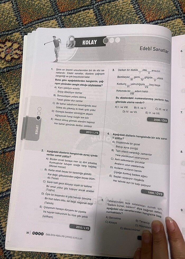 Edebiyat kitabı - Görsel 2