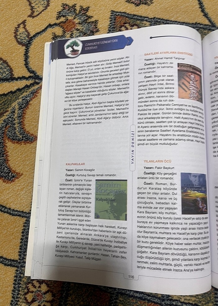 Edebiyat - Görsel 3