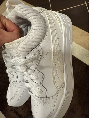 Puma Puma carina
