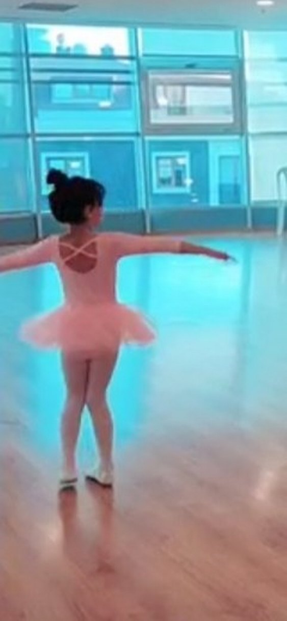 bale kıyafeti - Görsel 2