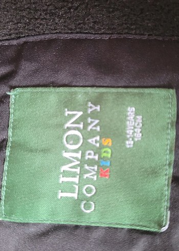 Çocuk/Genç Siyah Kürklü Kapüşonlu Kış Montu - Görsel 4