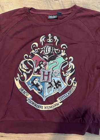 Atmosphere Harry Potter Bordo Kadın Sweatshirt - Görsel 3