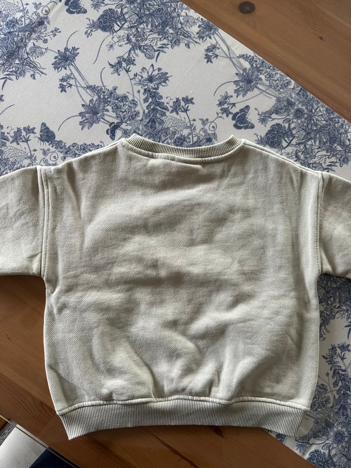 Zara Gri Nakışlı Erkek Sweatshirt - Görsel 4