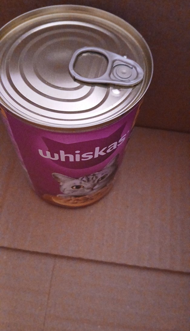 Kedi Konservesi Tarih Damgalı - Görsel 3