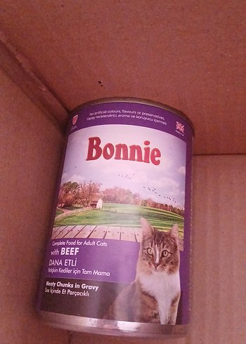Bonnie Kedi Konservesi - Görsel 2